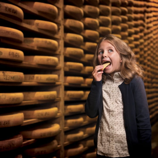 Comté, dégustation et visite de cave