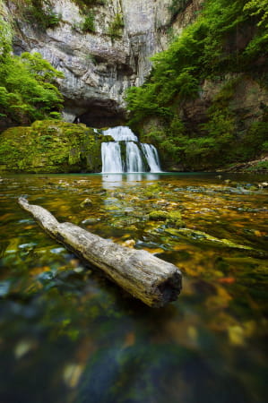 La source du Lison, détail