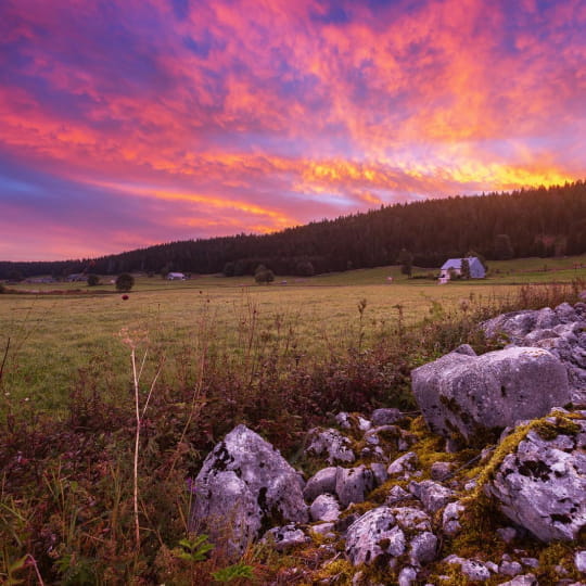Paysage du PNR du Haut-Jura