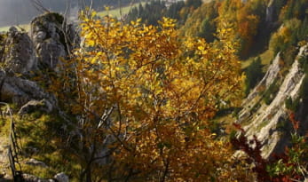 Point de vue du Fort Malher