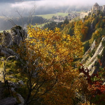 Point de vue du Fort Malher