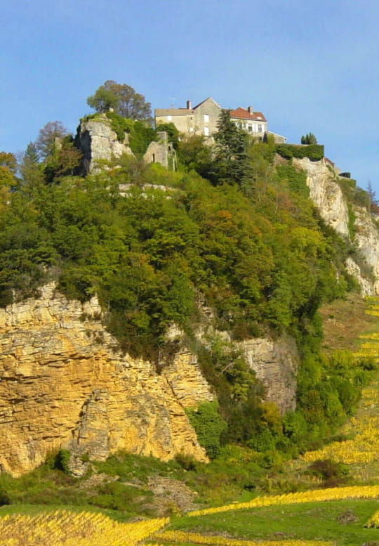 Vin Jaune du Jura, Arbois, Château-Chalon, Côtes-du-Jura, L'Étoile - Jura  Tourisme