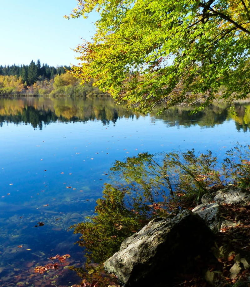 Le lac de Bonlieu à l'automne