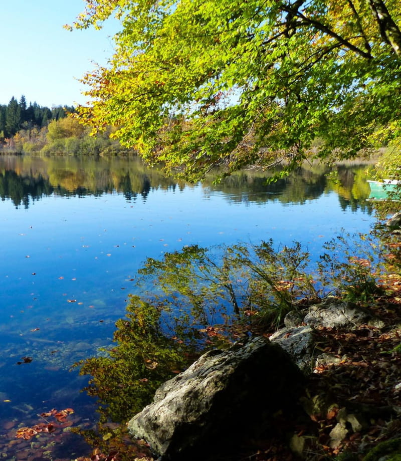 Le lac de Bonlieu à l'automne