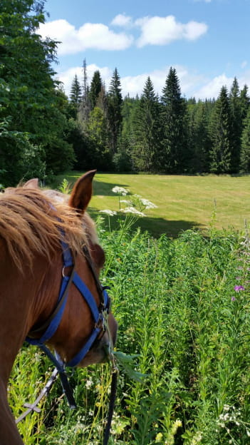 La Grande Traversée du Jura à cheval