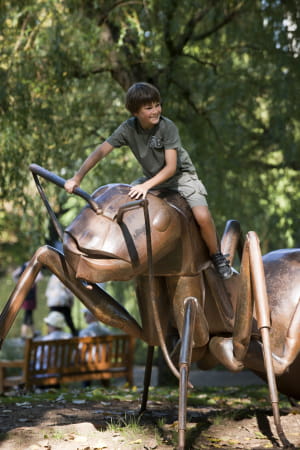 Insecte géant au Parc du Pré la Rose à Montbéliard