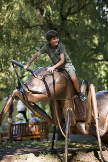 Insecte géant au Parc du Pré la Rose à Montbéliard