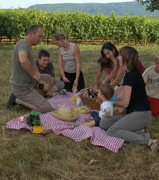 Pique-nique en famille au milieu des vignes, près d'Arbois
