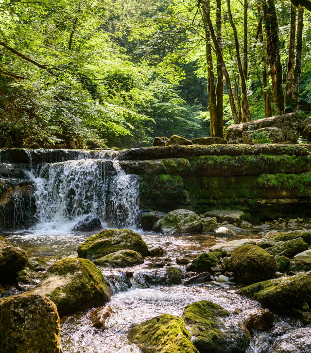 Fraicheur aux cascades du Hérisson