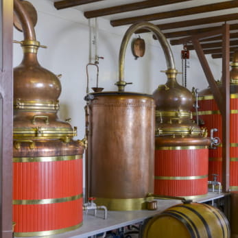 Distillerie d'absinthe