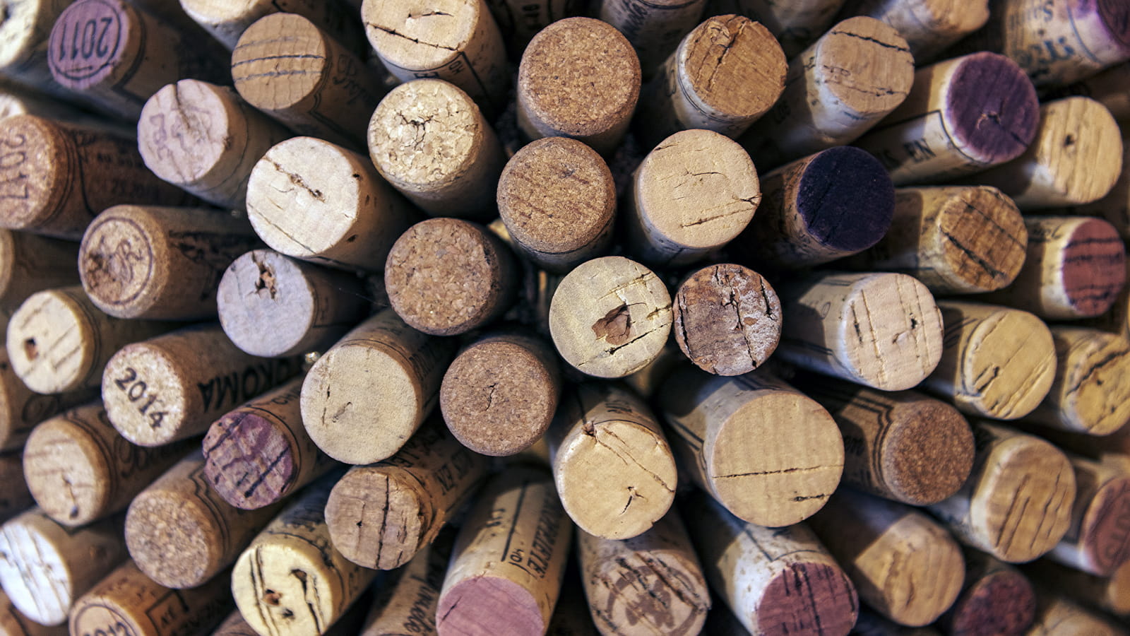 Jura et Bugey : des vins aux 3 couleurs