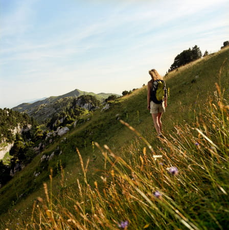 Randonnée sur les crètes du Jura