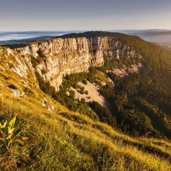Panorama depuis le sommet du Mont d'Or