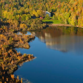 Belvédère sur le lac de Bonlieu à l'automne