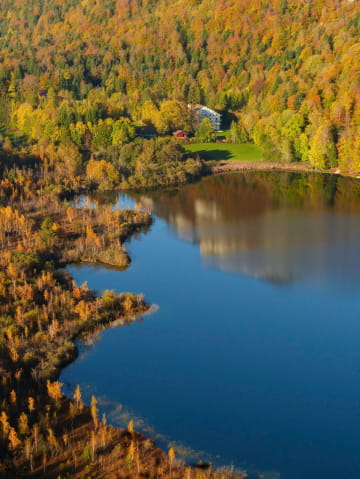 Belvédère sur le lac de Bonlieu à l'automne