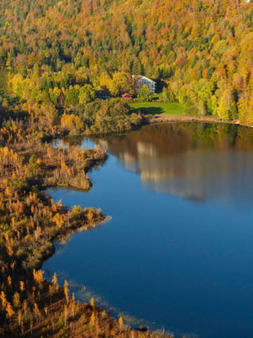 Belvédère sur le lac de Bonlieu à l'automne