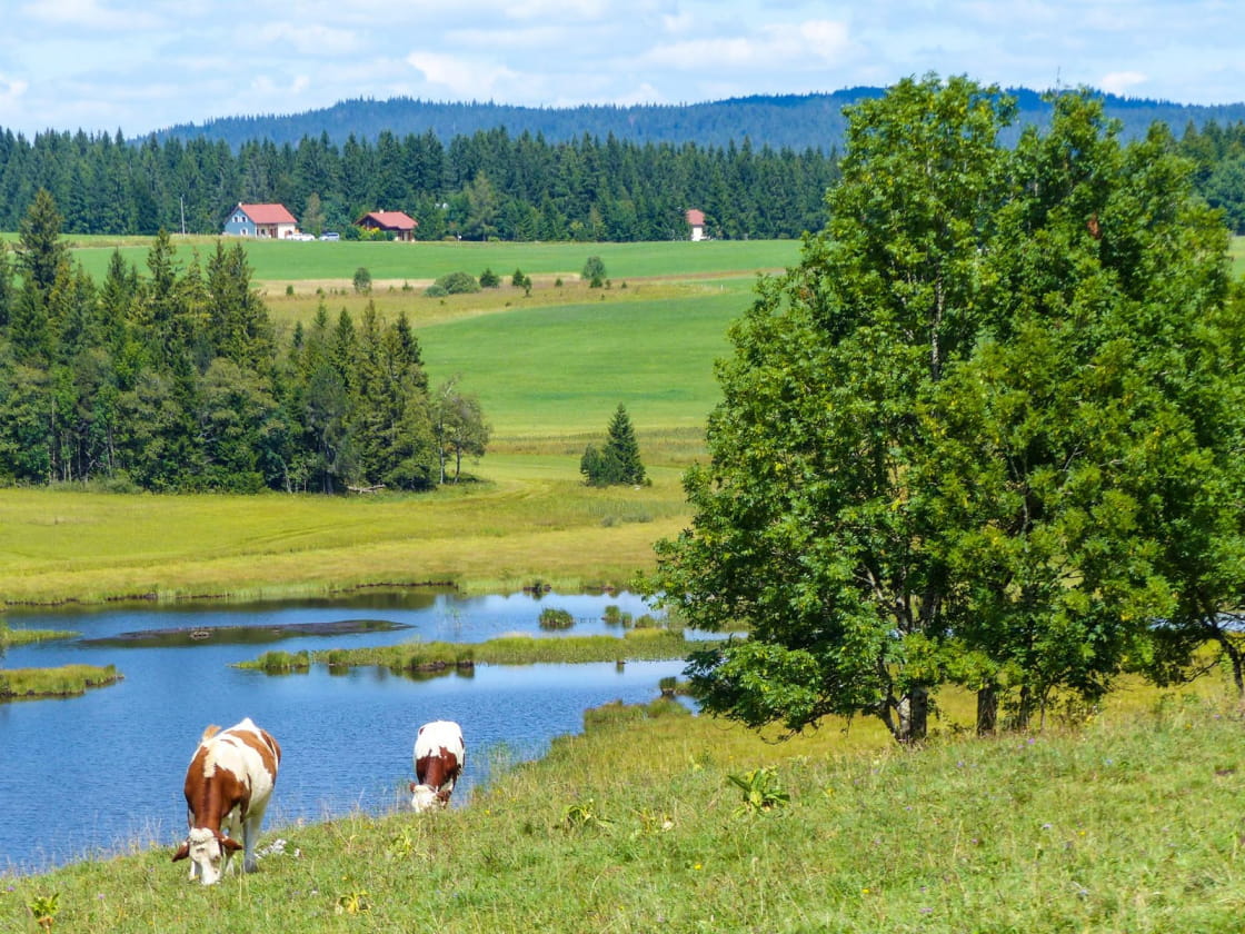 Balade dans la campagne jurassienne