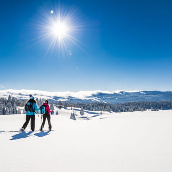En raquettes dans les Montagnes du Jura - seules au monde…