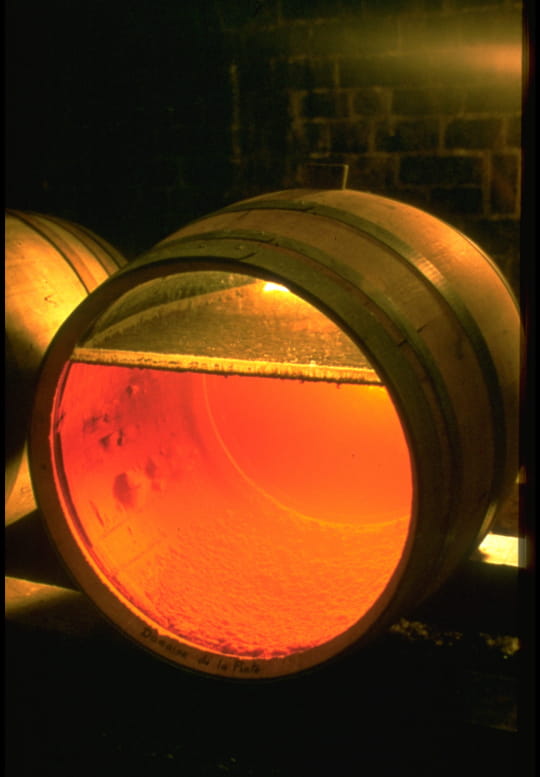 The Gold of the Jura - Vin Jaune (The Yellow Wine)