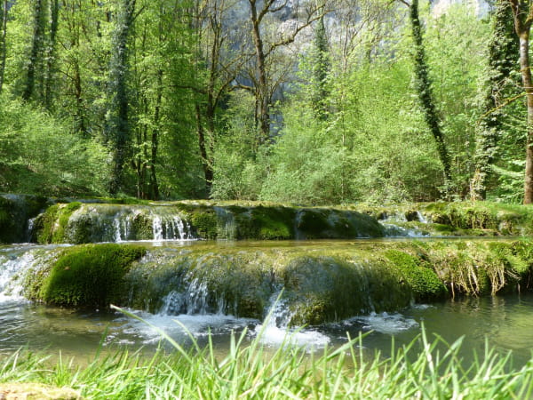 Le long du ruisseau du Dard
