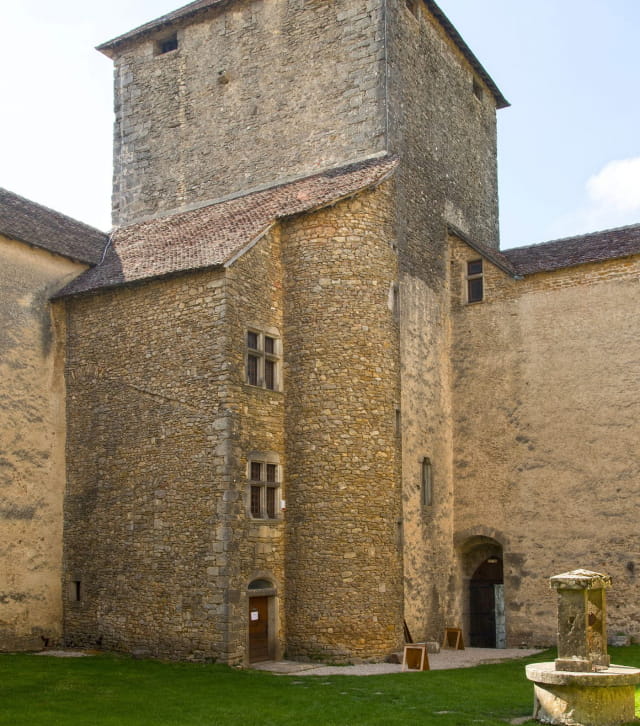 Vue depuis l'enceinte du château des Allymes