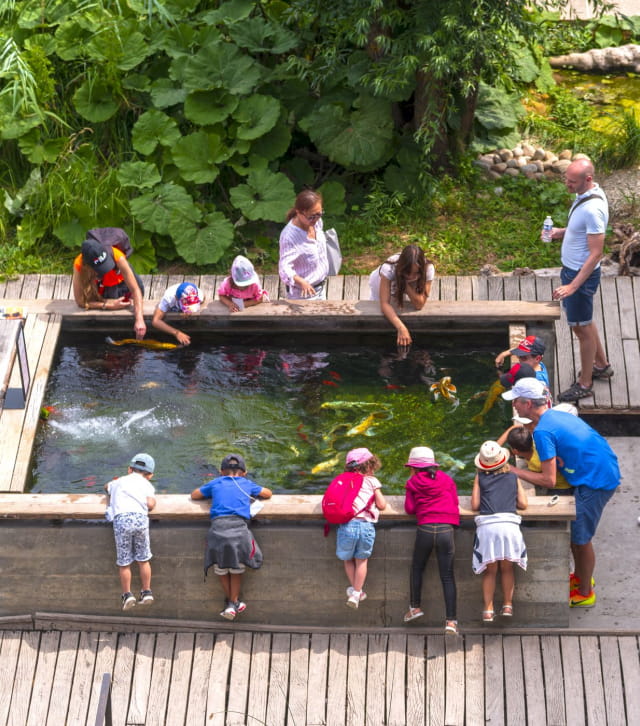 Enfants autour de l'aquarium géant de la citadelle