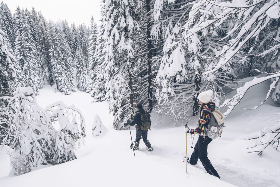 Randonnée raquettes dans les Hautes Combes