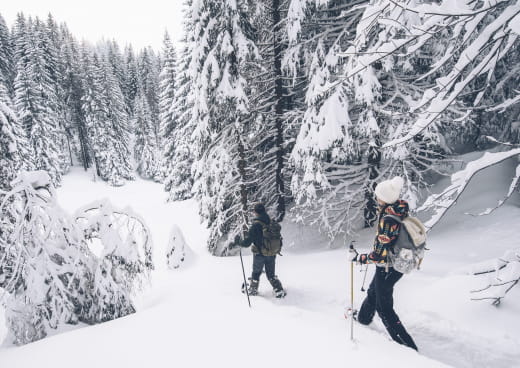 Randonnée raquettes dans les Hautes Combes