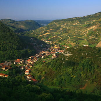 Cerdon et son vignoble