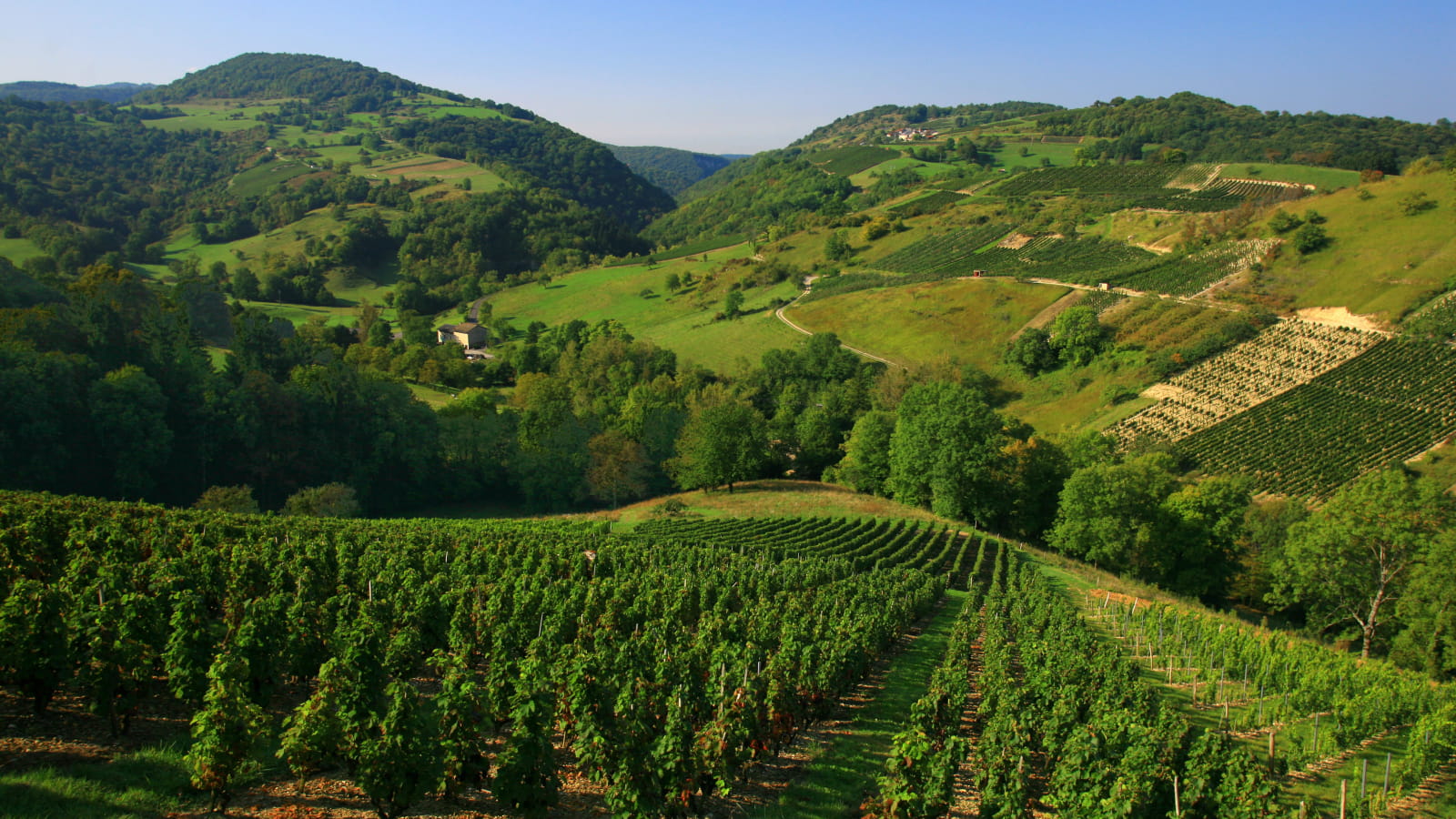 Col de Montratier - Vignoble du Bugey
