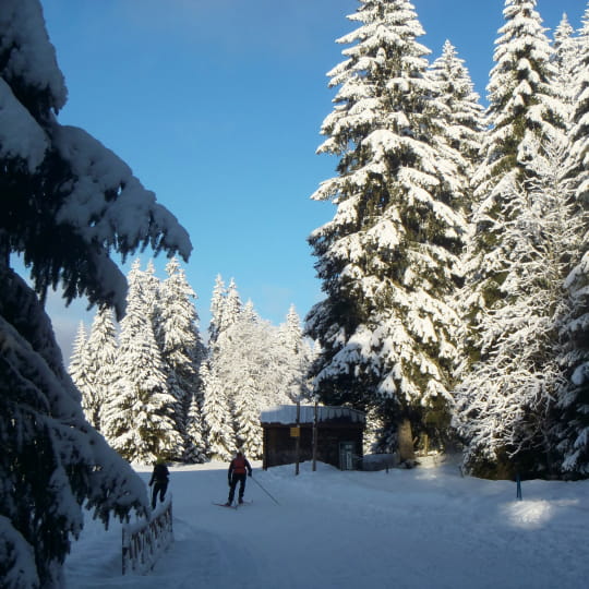 La Grande Traversée du Jura à ski de fond traverse le domaine des Rousses labellisé Nordic France