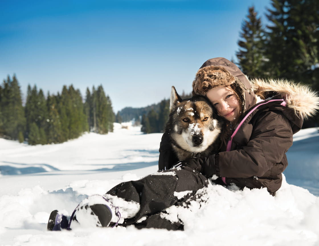 moment complice entre une petite fille et un huskie