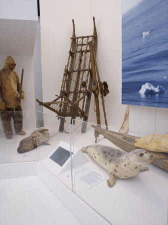 Visite d'un musée sur les mondes polaires, l'Arctique et l'Antarctique
