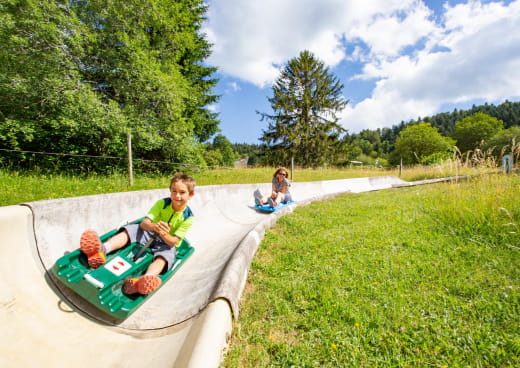 Descente en luge d'été à Métabief