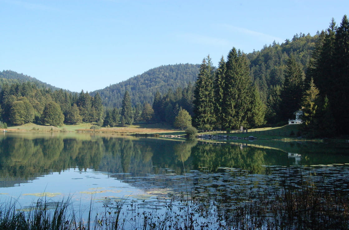 Nature sauvage au bord du lac de Genin