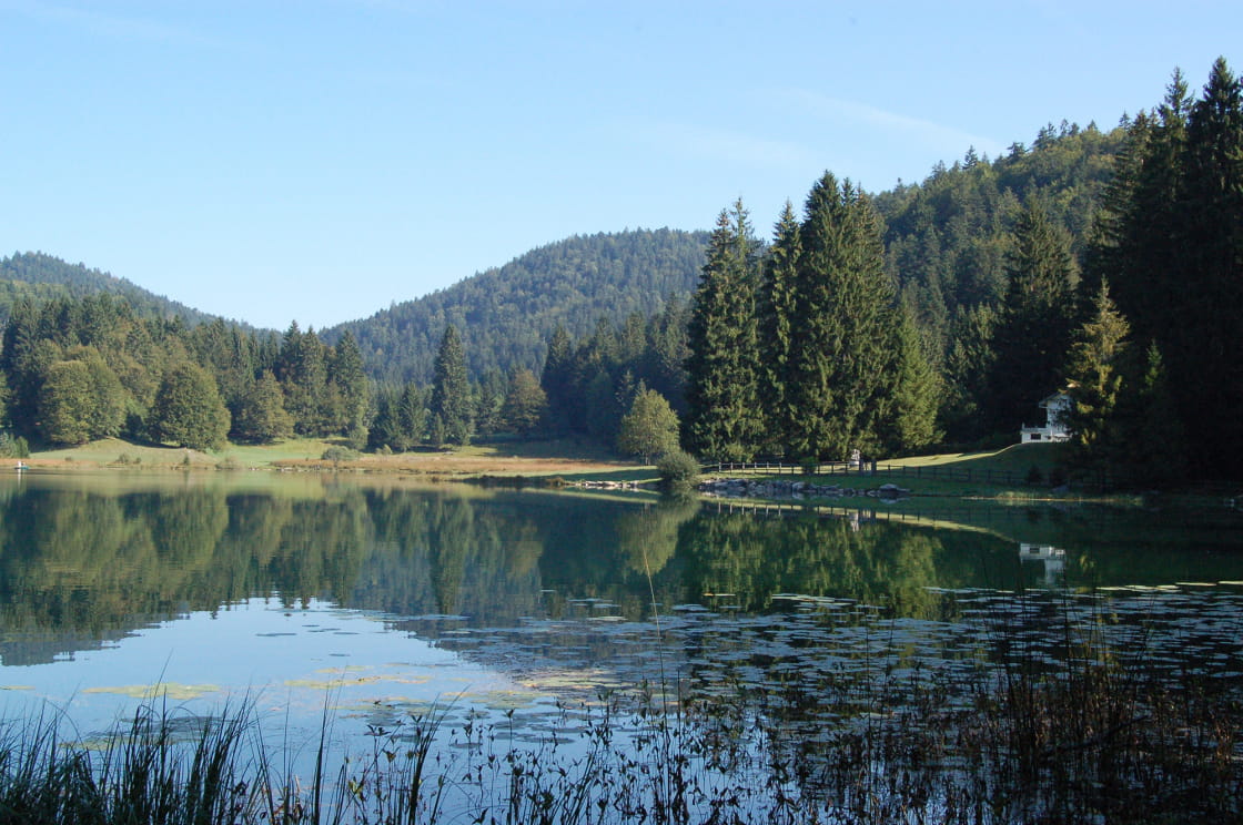 Nature sauvage au bord du lac de Genin