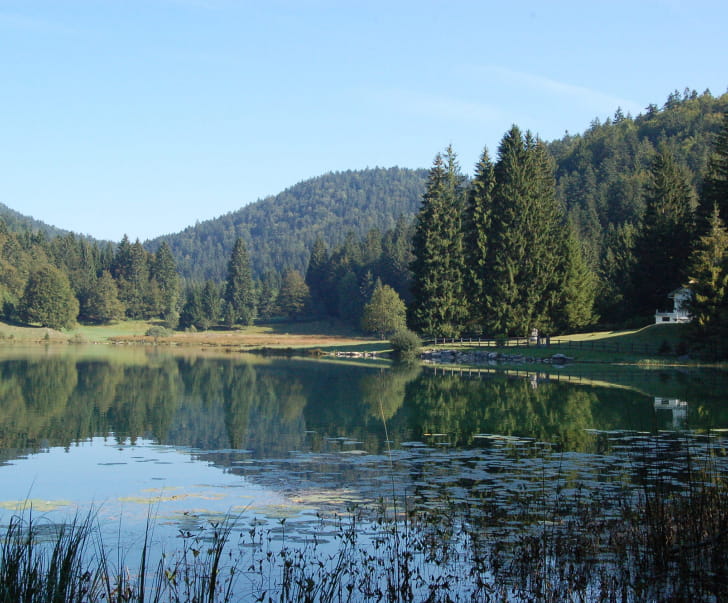 Nature sauvage au bord du lac de Genin