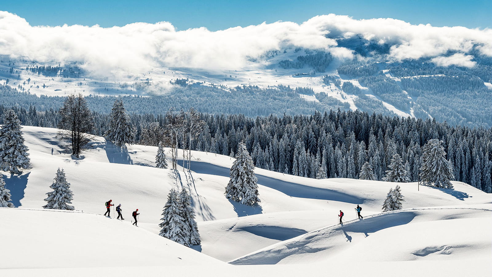 image montagne hiver