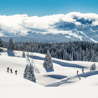 Le Parc Naturel Régional du Haut-Jura sous la neige