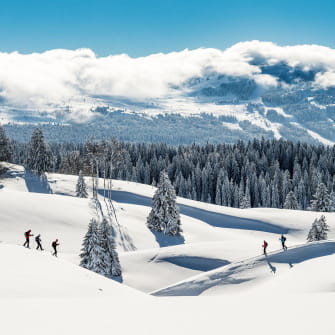 Le Parc Naturel Régional du Haut-Jura sous la neige