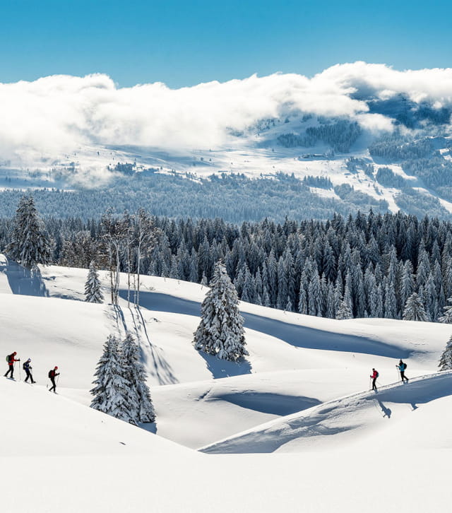 Le Parc Naturel Régional du Haut-Jura sous la neige