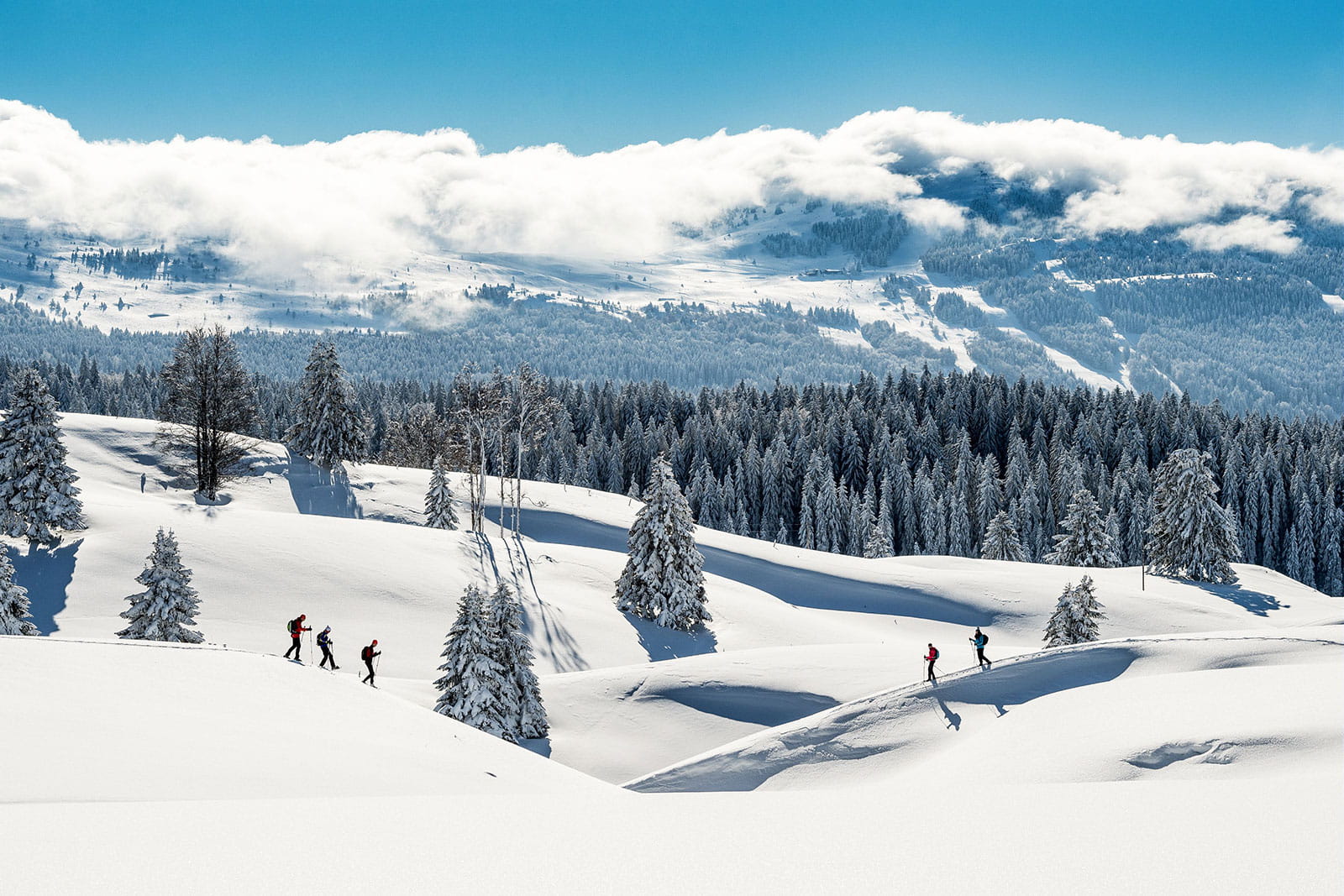 Hiver online