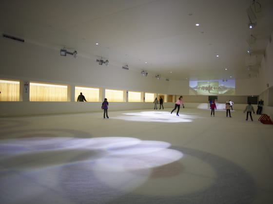L'Espace des mondes polaires