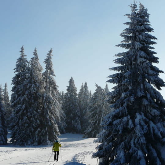 Découverte des paysages du massif du Jura à ski de fond