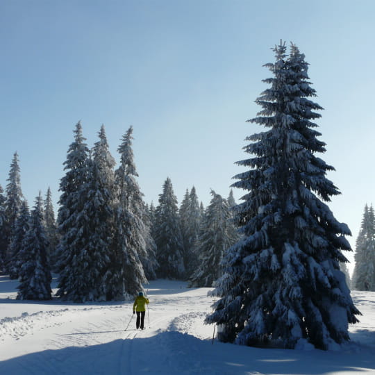 Découverte des paysages du massif du Jura à ski de fond