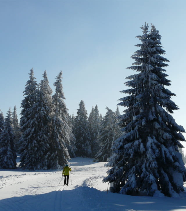Découverte des paysages du massif du Jura à ski de fond