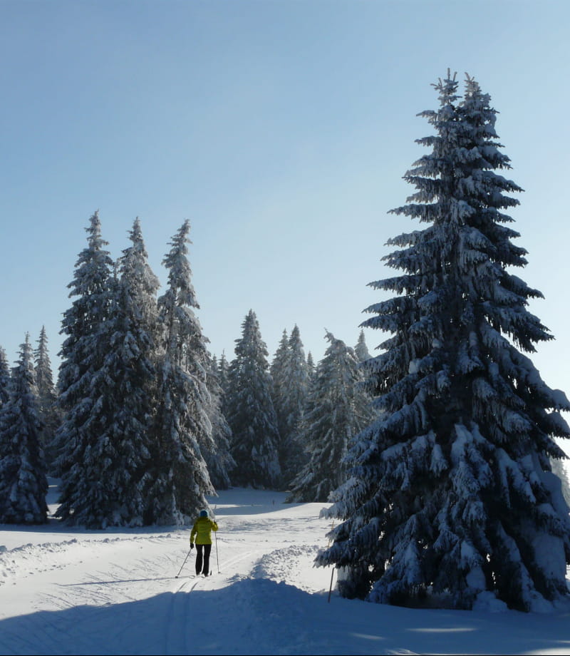 Découverte des paysages du massif du Jura à ski de fond