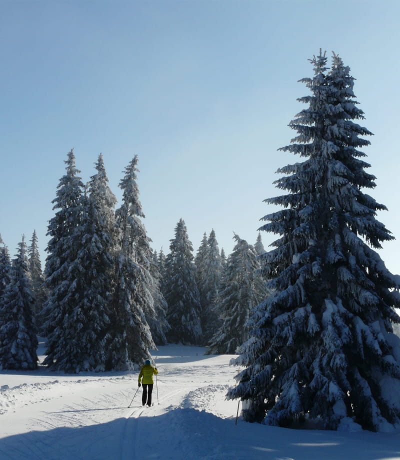 Découverte des paysages du massif du Jura à ski de fond