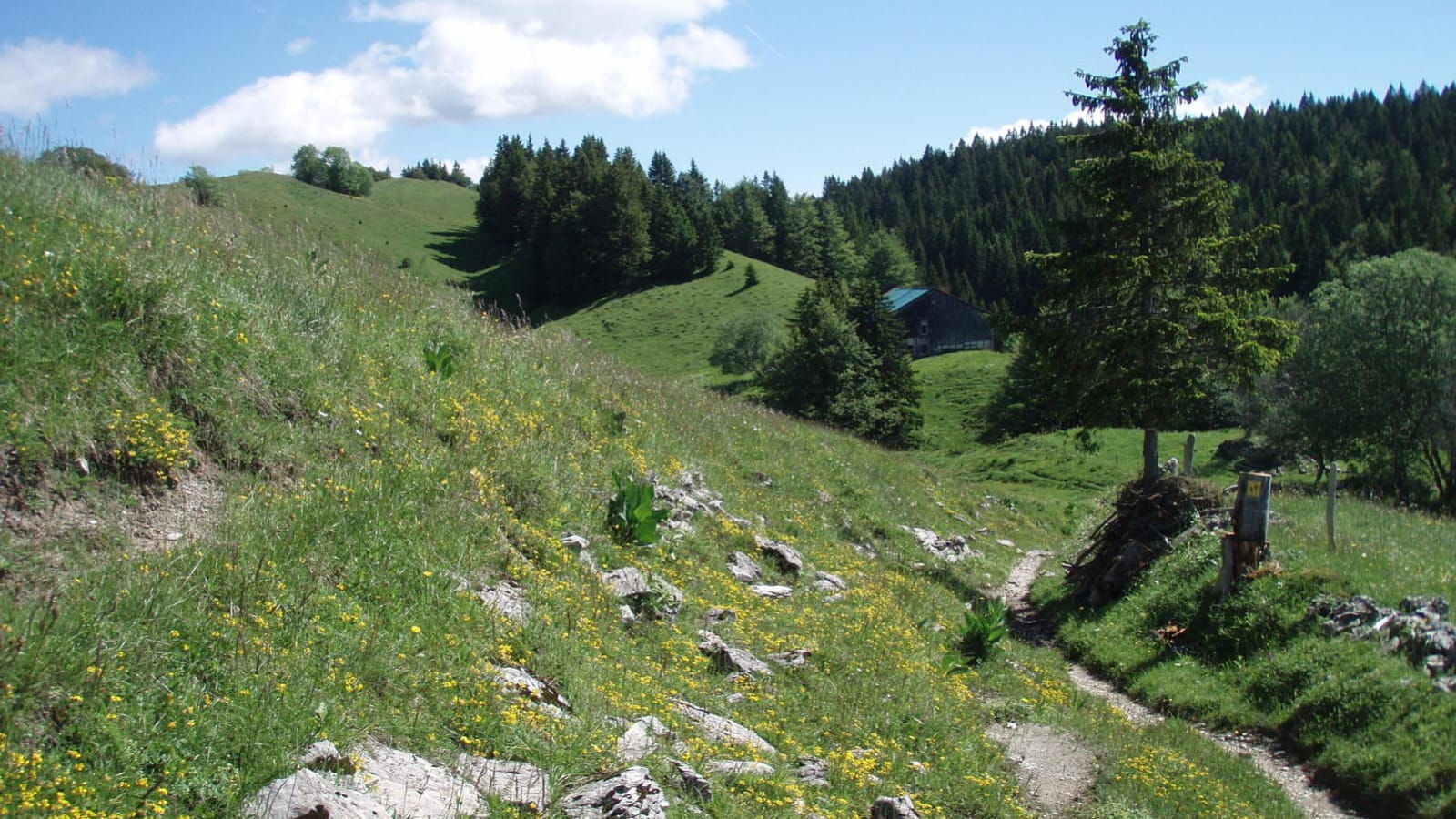 Paysage de hautes combes dans le massif du Jura