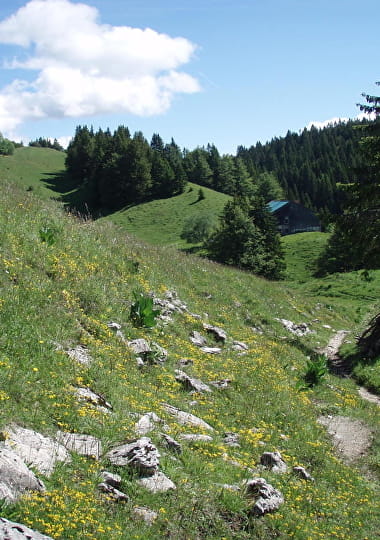 Paysage de hautes combes dans le massif du Jura
